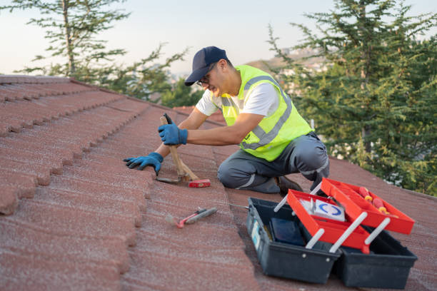 Best Roof Gutter Cleaning  in Henderson, TN