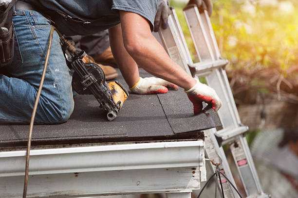 Best Storm Damage Roof Repair  in Henderson, TN